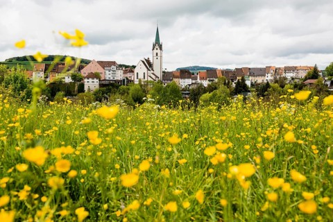 Historic old town, Engen, Hegau, Constance district, Lake Constance, Baden-Wuerttemberg, Germany,