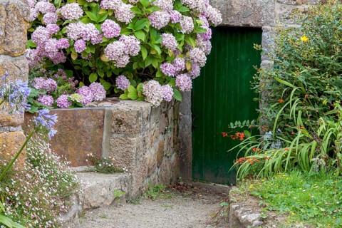 Old wooden door surrounded by flowers, Ile de Brehat, Departement Cotes-d'Armor, Brittany, France,