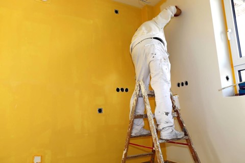 Painting work, interior painting, wall painting