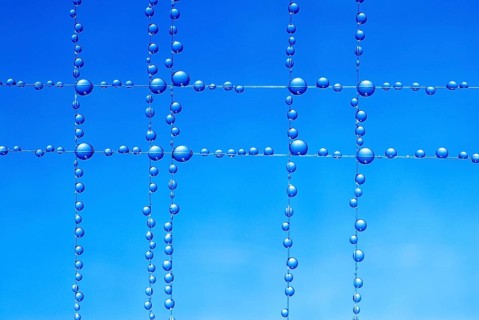 Small blue water droplets hang on fishing line