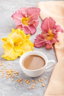 Yellow anf purple day-lilies cup of coffee on a gray concrete background, with orange textile.