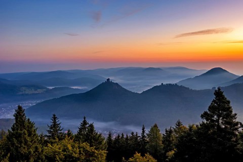 Trifels Castle in the Palatinate Forest in the morning mist at sunrise