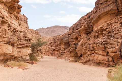 Colored canyon with red rocks. Egypt, desert, the Sinai Peninsula, Nuweiba, Dahab