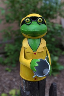 Colourful tin frog on a garden fence, Mecklenburg-Vorpommern, Germany, Europe