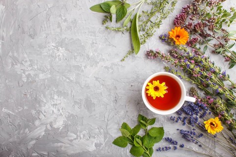 Cup of herbal tea with calendula, lavender, oregano, hyssop, mint and lemon balm on a gray concrete