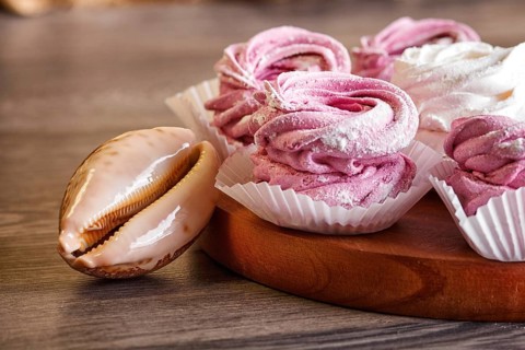 Pink and white homemade marshmallows (zephyr) on a round wooden board with seashells on a gray