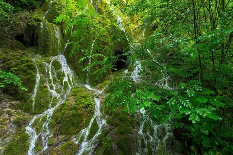 Water flowing in rivulets down a mossy mountain face, nature, natural spectacle, water, flowing,
