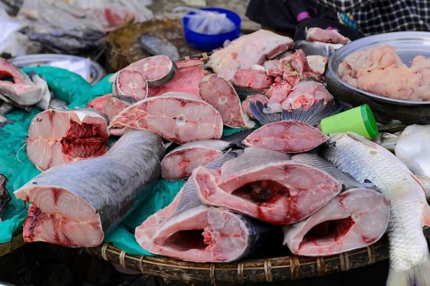 Local woman selling fish, near Bagan, Mandalay Division, Myanmar, Asia