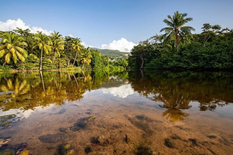 View of a river arm, a tropical mangrove landscape and the natural surroundings of Grande Anse