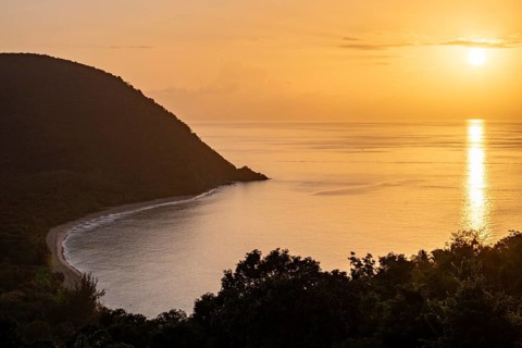 View from a mountain to a secluded bay with a sandy beach and mangrove forest. The sun rises over