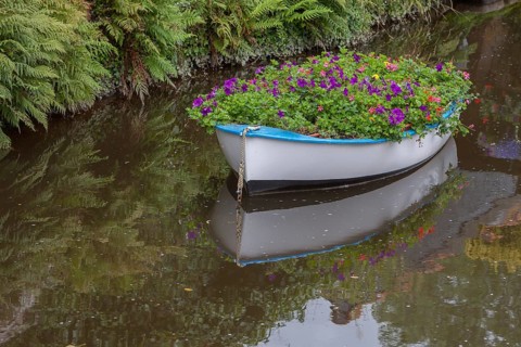 Boat planted with flowers, river Trieux, Pontrieux, Departement Cotes dArmor, Bretagne, France,