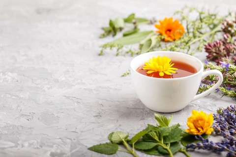 Cup of herbal tea with calendula, lavender, oregano, hyssop, mint and lemon balm on a gray concrete