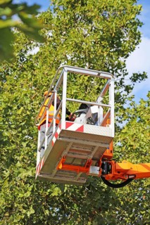 Workers on the work platform pruning or maintaining trees