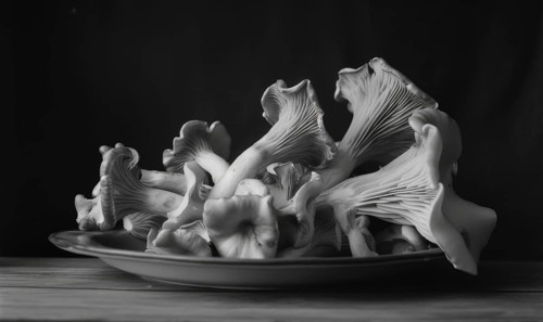 Oyster mushrooms on a plate, black and white photo, close-up AI generated