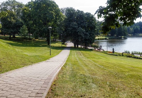 A forest park with large trees and creative benches and arches. Druskinikai, Lithuania, Europe
