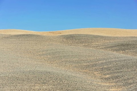 Harvested wheat field, landscape north of Sorano, Tuscany, Italy, Europe