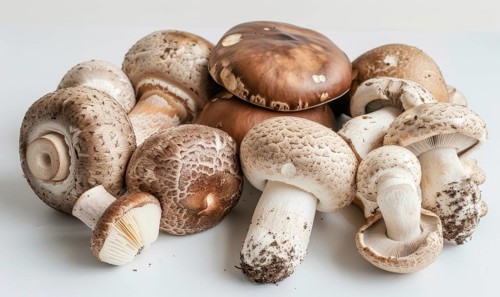 Shiitake mushrooms on a white background, close-up. AI generated