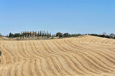 Harvested wheat field, landscape north of Sorano, Tuscany, Italy, Europe