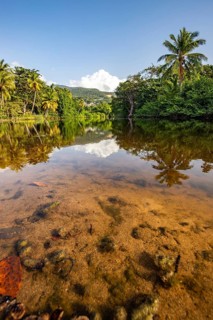 View of a river arm, a tropical mangrove landscape and the natural surroundings of Grande Anse