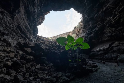 Cueva de los Verdes, lava tube, Costa Teguise, Lanzarote, Canary Islands, Spain, Europe