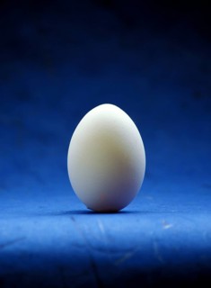 Closeup of one single henÂ´s egg, chicken egg