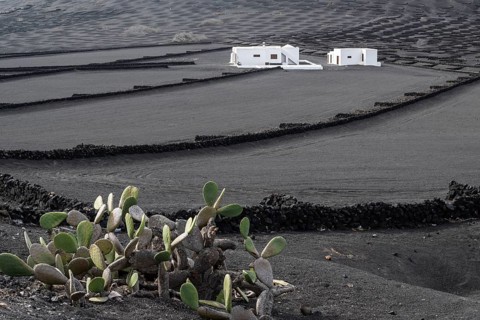 Wine growing in volcanic ash pits protected by dry stone walls, Yaiza, Lanzarote, Canary Islands,
