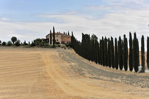 Cypress avenue with farmhouse, south of Pienza, Tuscany, Italy, Europe