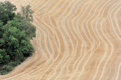 Harvested fields south of Siena, Crete Senesi, Tuscany, Italy, Europe