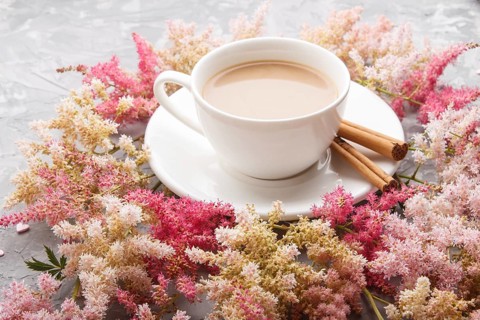 Pink and red astilbe flowers and a cup of coffee on a gray concrete background. Morninig, spring,