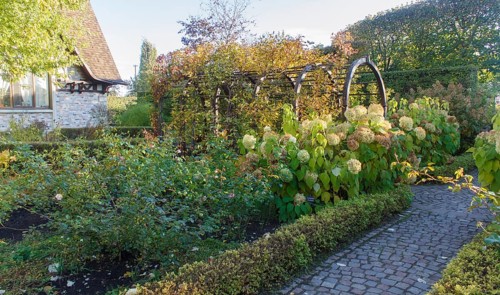 Park with green lawn, trees trimmed bushes and natural stone path in autumn. Modern landscape