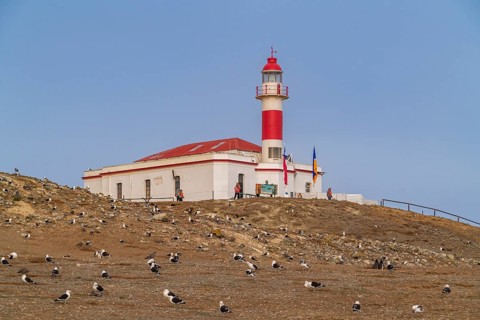 Seagulls in front of the lighthouse in the Penguin National Park on Magdalena Island, Magellanes,