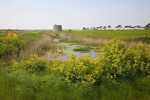 Martello tower stands in field at Alderton, Suffolk, England, United Kingdom, Europe