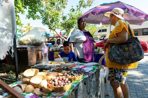 People at the busy Mercado Organico market in Santa Cruz, Pochutla, Baja de Hualtulco, South