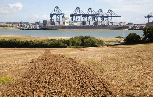 Cranes and container ships at Trimley Docks part of the Port of Felixstowe, Britain's busiest