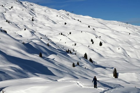 Snowshoe hiking in the Beverin nature park Park, Graubuenden, Switzerland, Europe
