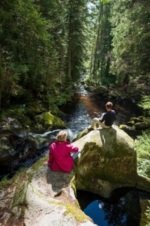 Kroi-Woog-Gumpen, with moss, rocks and forest, Hotzenwald, Black Forest, Baden-Wuerttemberg,