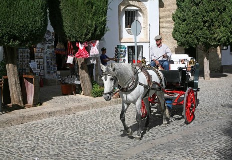 Tourist horse and carriage ride around the old city of Ronda, Spain, Europe