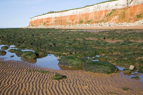 Chalk, red chalk and carstone form striped cliffs of white, red and orange at Hunstanton, Norfolk,