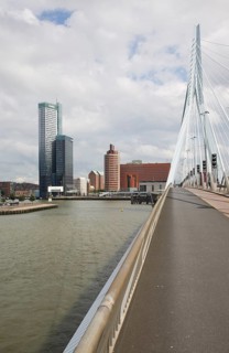 Erasmusbrug, Erasmus Bridge, spanning the River Maas, Rotterdam, Nethrlands