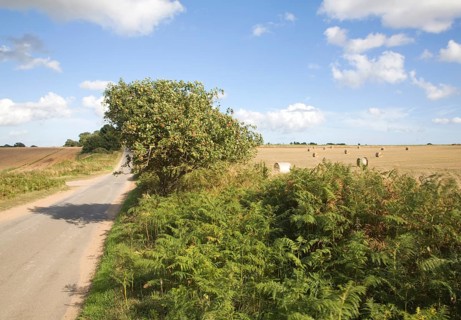 Summer landscape with country road and harvested field, Boyton, Suffolk, England, United Kingdom,