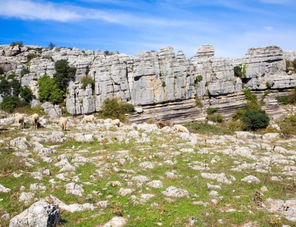 Dramatic limestone scenery of rocks shaped by erosion and weathering at El Torcal de Antequera