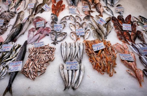 Display of fresh fish and seafood on ice, fishmonger, food, Kapani Market, Vlali, Thessaloniki,