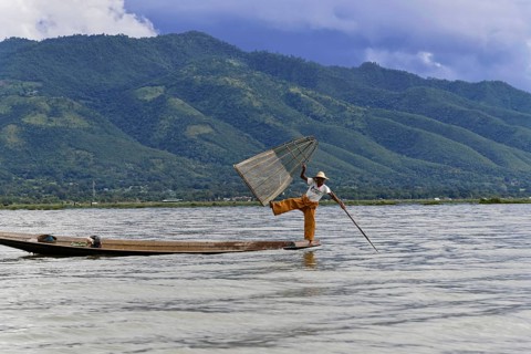 Intha fisherman, local man fishing with traditional conical fishing net, Inle Lake, Burma, Myanmar,