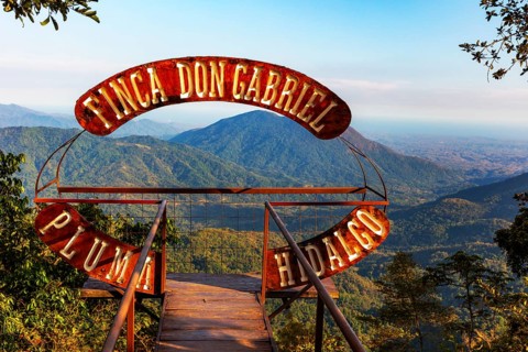 Viewing platform at Finca Don Gabriel, Pluma Hidalgo, Pochutla, Oxaca state, Sierra Madre del Sur,