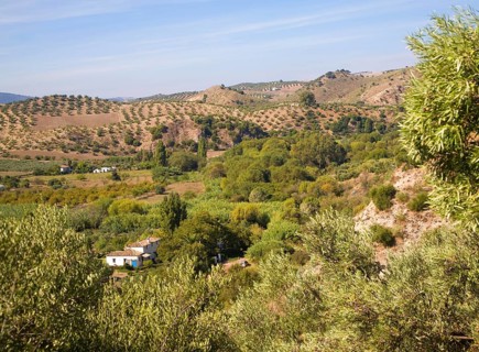 Fertile green valley farmland near Zahara de la Sierra, Cadiz province, Spain, Europe