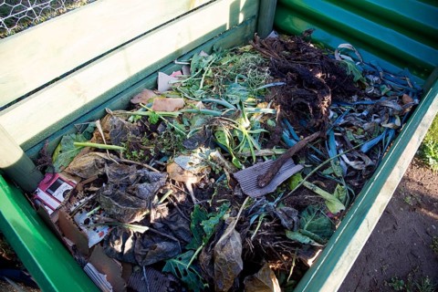 Organic vegetable matter decomposing in compost bin