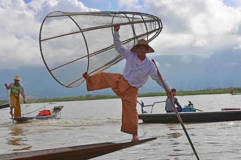 Intha fisherman, local man fishing with traditional conical fishing net, Inle Lake, Burma, Myanmar,