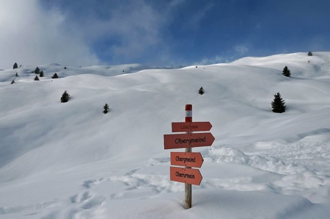Winter landscape in the Beverin nature park Park, Graubuenden, Switzerland, Europe