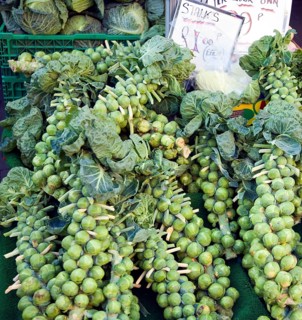 Stalks brussel sprouts on sale market stall priced Â£1.00