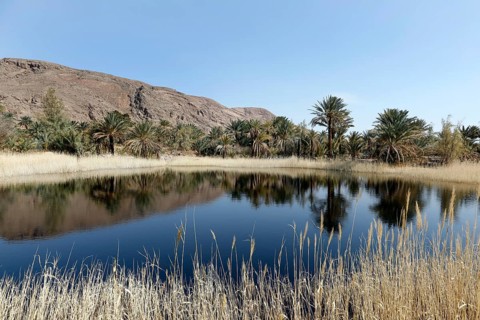 An oasis in the middle of Iran's central desert, Gameh, 12.03.2019